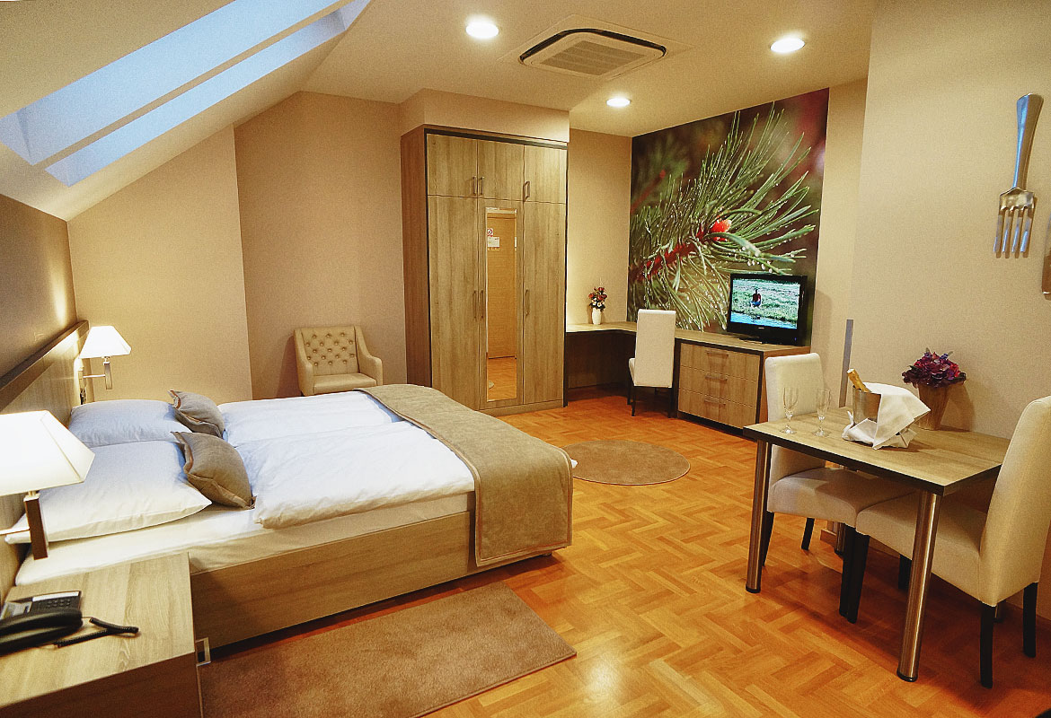 Suite con 1 Camera da Letto 